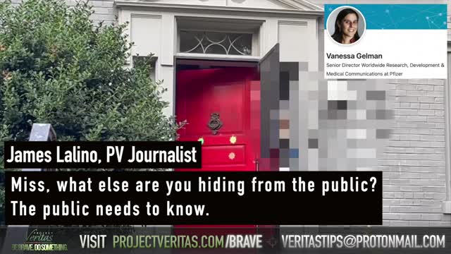 Run Vanessa!
