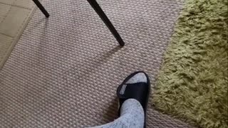 Mr. Wobbly Leg