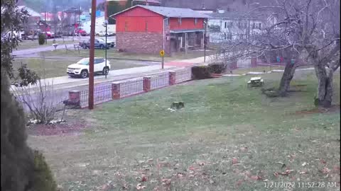Jeep on Green Belt