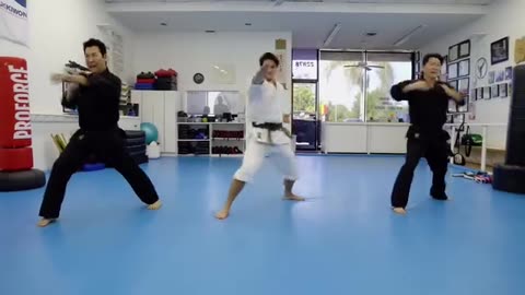 The Rhee Family A Family That Kicks Together Stays Together