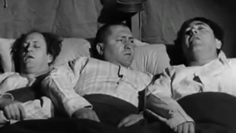 3 Stooges funny video
