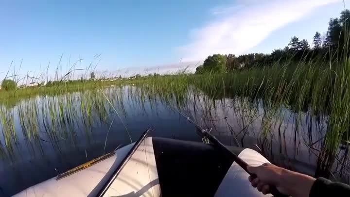 30 seconds to catch fish