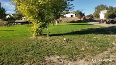 Graham Family Farm: A Nice Day to do Chores