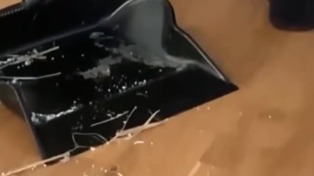 Very funny cat videos 2022. cute 🐈 video