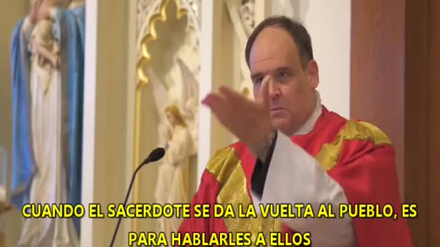 Sacerdote habla sobre la misa de siempre