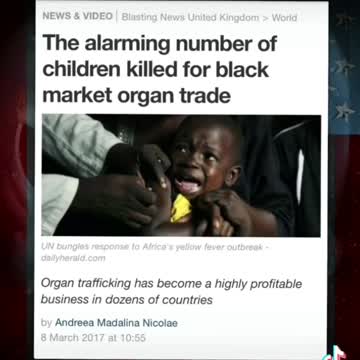 Just Headlines of satanic sex trafficking and organ harvesting around the world 🌎