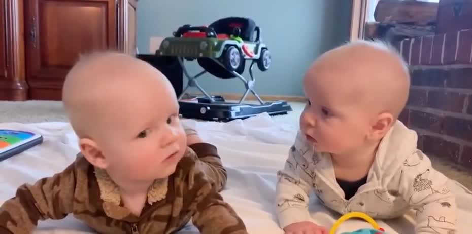 Best Funny Twin Baby-Funny Twins Baby Video