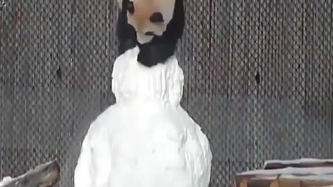 The Canadian Zoo Toronto Zoo has posted a video