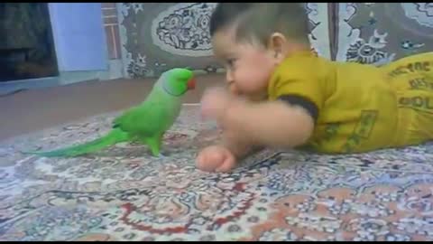 The baby is talking to the parrot