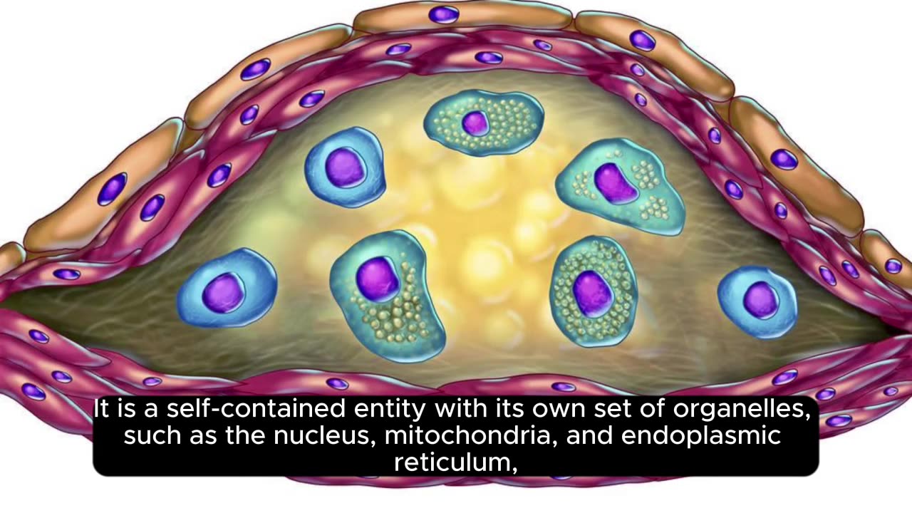 The human body is composed of around 37 trillion cells.