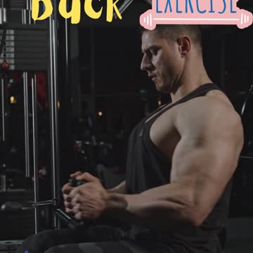 Back Exercise
