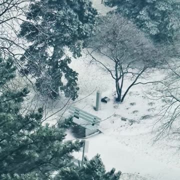 #viralchallenge #video #virals #vlog #viral #view