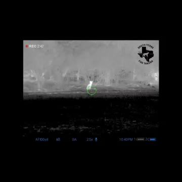 Bobcat stalking caller