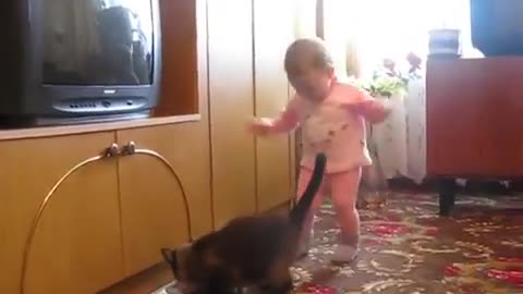 mama cat takes a puppy from the baby and the child cries