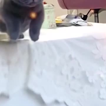 I didn’t think of this ending