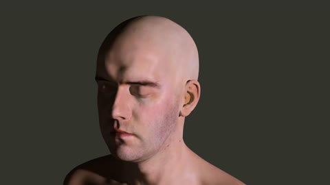 3D Head rendering