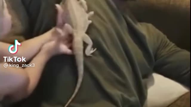 Lizard On My Body Prank