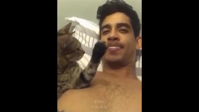 Funny Cats you need to watch