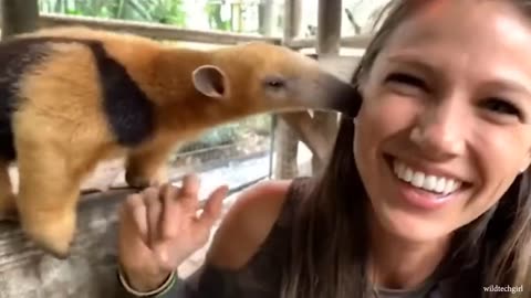 can't stop laughing 😅.funny animal and human