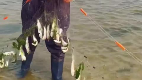 Beautiful fishing