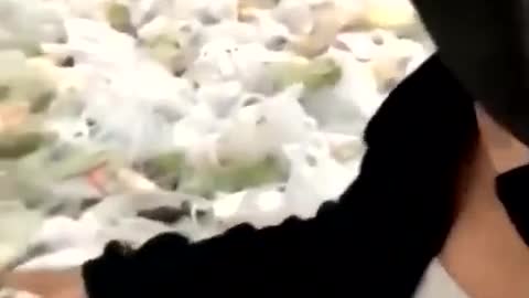 上海飢餓遊戲與人為飢荒-5