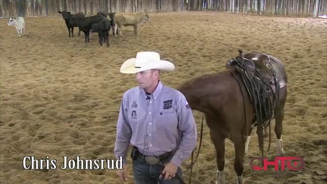 How To Teach A Cutting Horse Horse To Spread His Hind Feet With Chris
