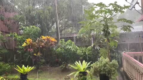 Rain in Sri Lanka 🇱🇰