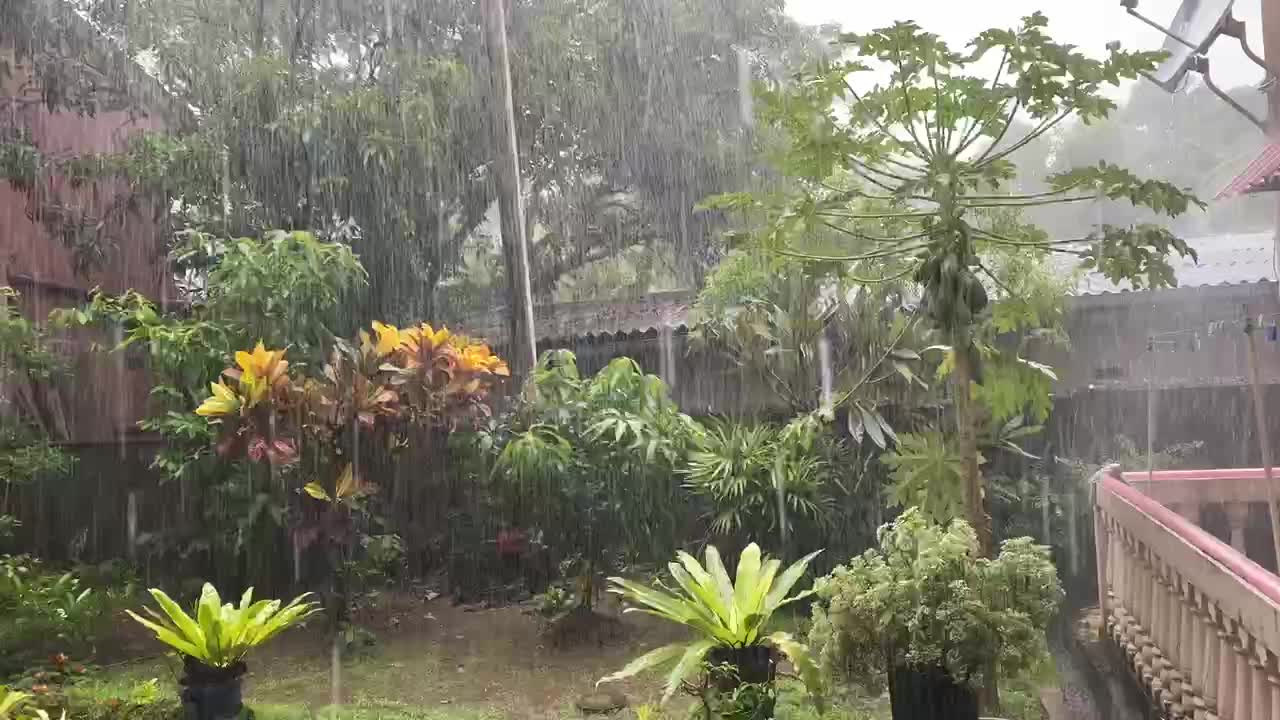 Rain in Sri Lanka 🇱🇰