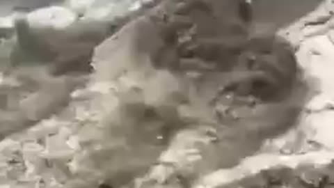 Pakistan - Devastating floods due to melting glacier causing havoc.