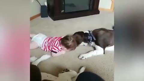 Cute babies and dogs funny fails