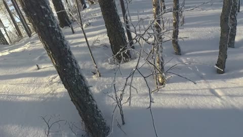 Winter vibes in Finland