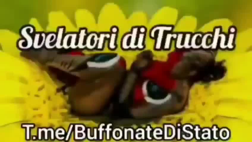 tratto da buffonate di stato