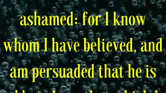 BIBLE VERSE FOR THE DAY... For the which cause I also suffer these things: nevertheless I am....