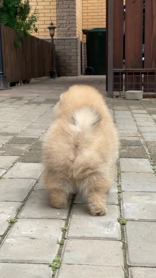 What a cutie see for yourself