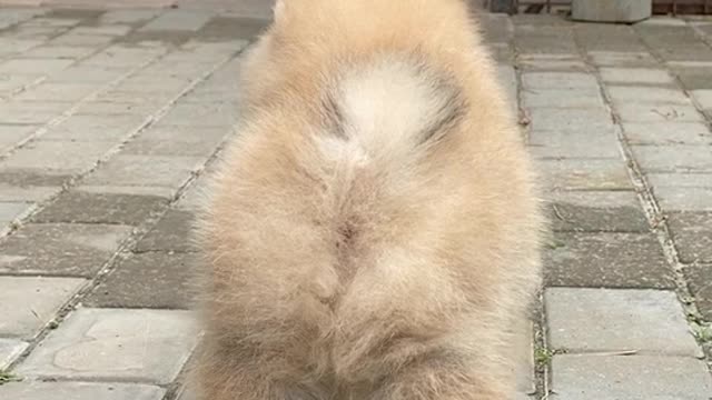 What a cutie see for yourself