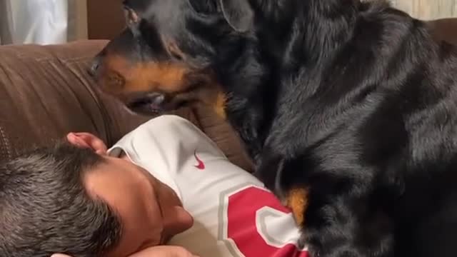 DOG ATTACKS