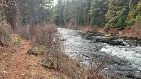 Beautiful Colorful Cascading Metolius River – Central Oregon – 4K