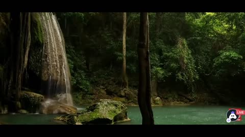 Relaxing Music | Sleeping, Meditation, Stress Relief | [6239] ⭐️