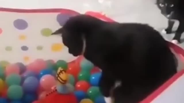 No, I'm not going in there, and don't ask!