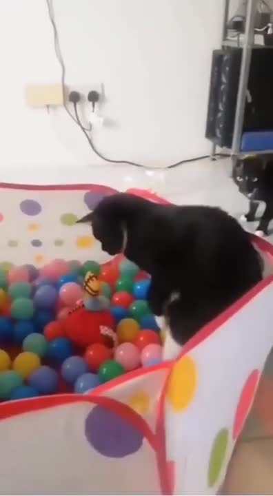 No, I'm not going in there, and don't ask!