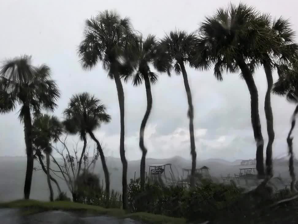 Rain in Florida