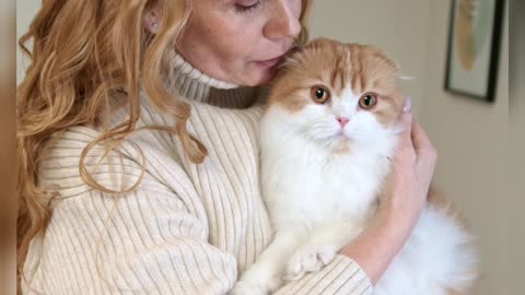 A Person Grooming a Cat