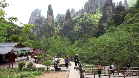 "Avatar" Mountain & Wulingyuan Scenic Area