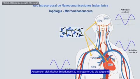 Das MAC Phaenomen und das intrakorporale Nanokommunikationsnetz (UT)