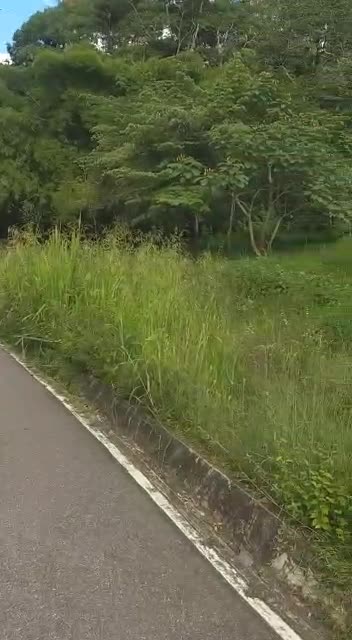 Piden arreglo del parque El Macho