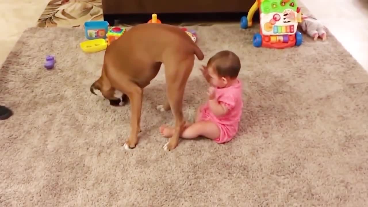 Cute Dogs and Babies are Best Friends - Dogs Babysitting Ba