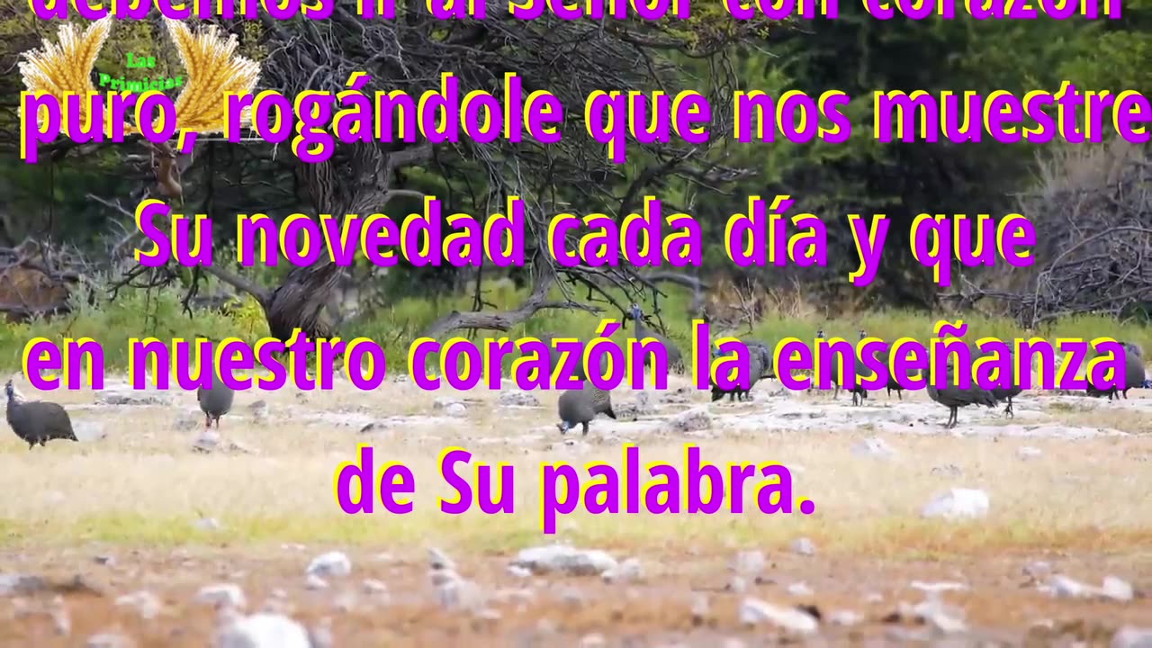 Capítulo 14 - Los herederos del reino de los cielos y la ley (1/3)