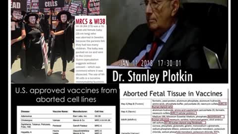 🚨ABORTED FETAL TISSUES IN VACCINES🚨