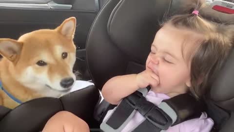 Cute Babies Playing With Dogs Compilation - Funny Baby And Pets