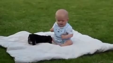 bebe jugando con mascota